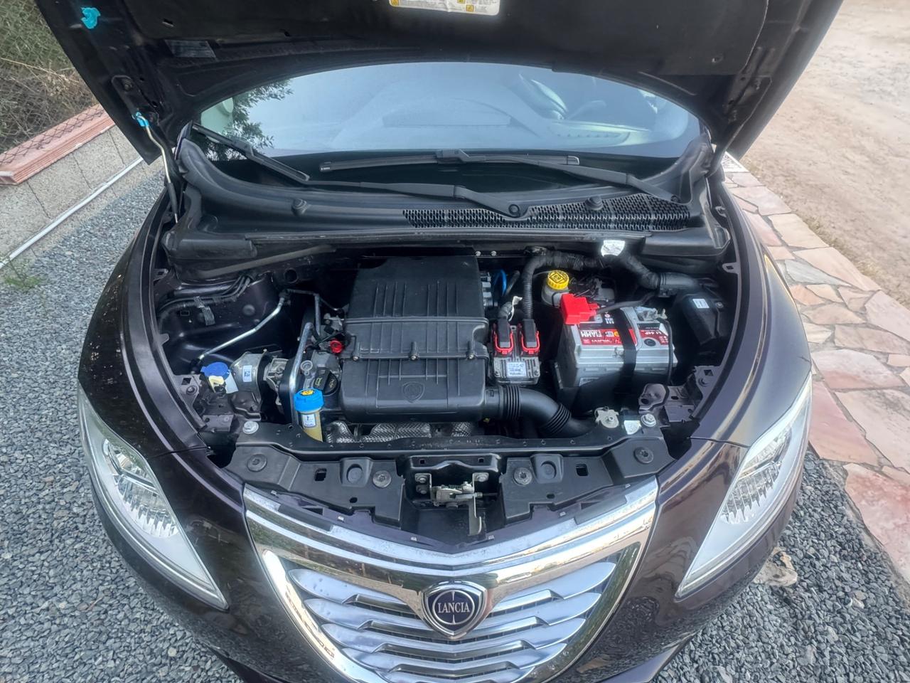 Lancia Ypsilon 1.2 69 CV 5 porte S&S Platinum