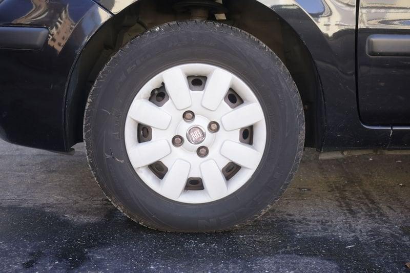 FIAT Panda FIAT Panda 1.2 Active GPL Unicoproprietario