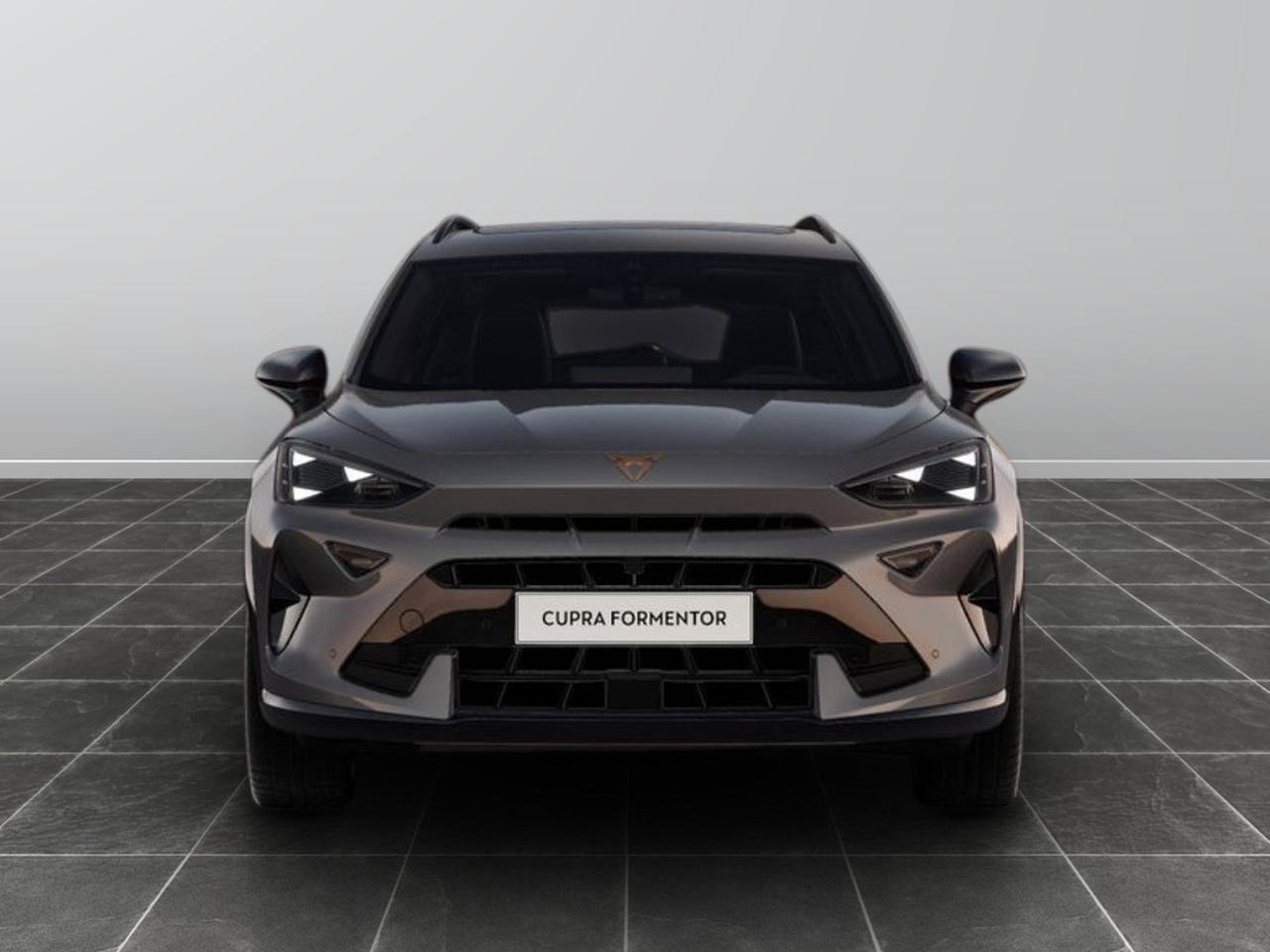 Cupra Formentor 2.0 tdi 150cv dsg