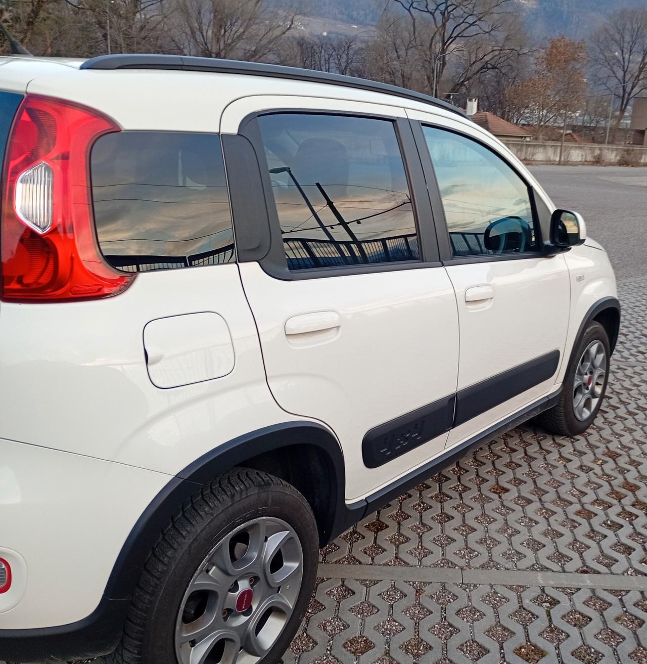 Fiat Panda 1.3 MJT S&S 4x4