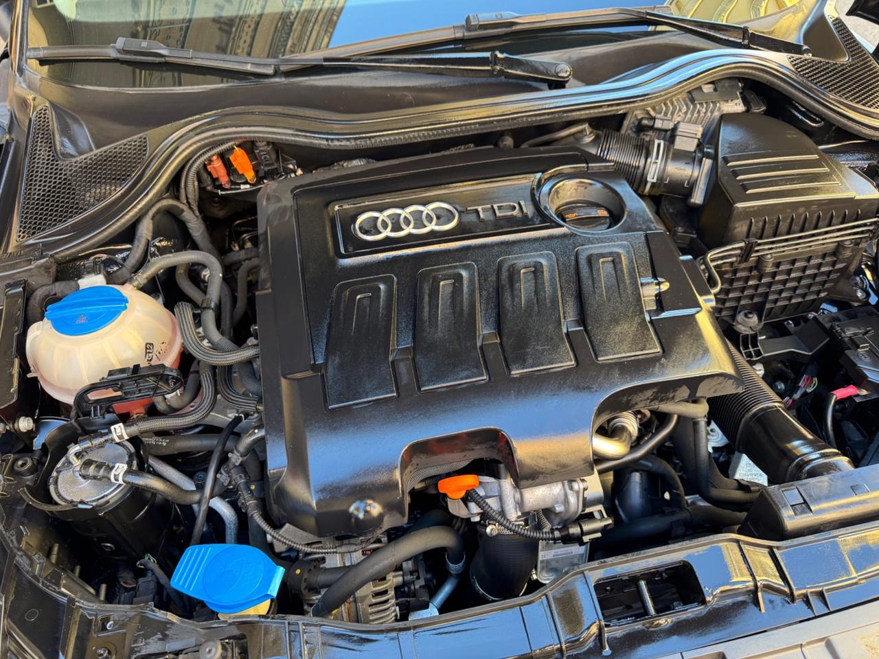 Audi A1 1.6 TDI 90cv Guida Idonea Neo Patentati