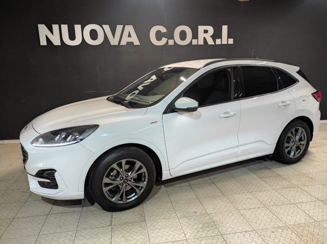 FORD Kuga 1.5 EcoBlue 120 CV aut. 2WD ST-Line