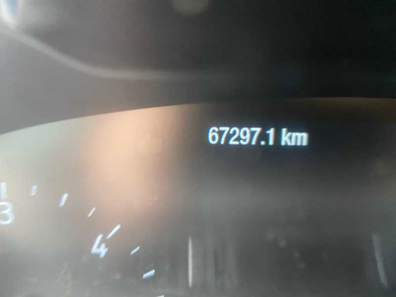FORD Focus 1.5 ecoblue ST-Line s&s 120cv