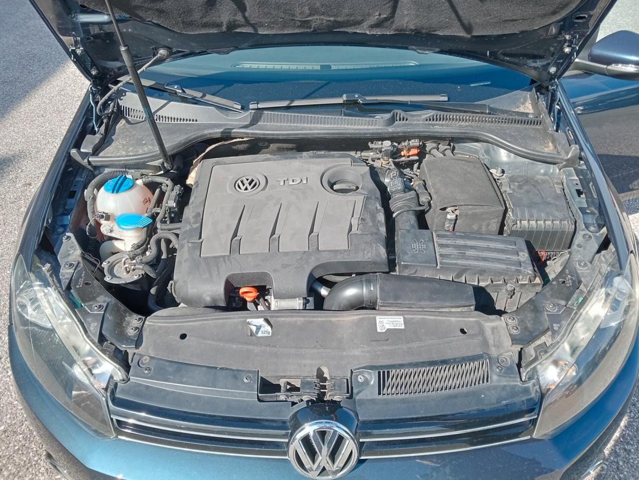 Volkswagen Golf 1.6TDI 5p. Highline