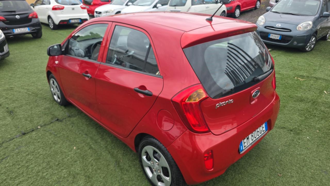 Kia Picanto 1.0 12V EcoGPL 5 porte City neopatentati