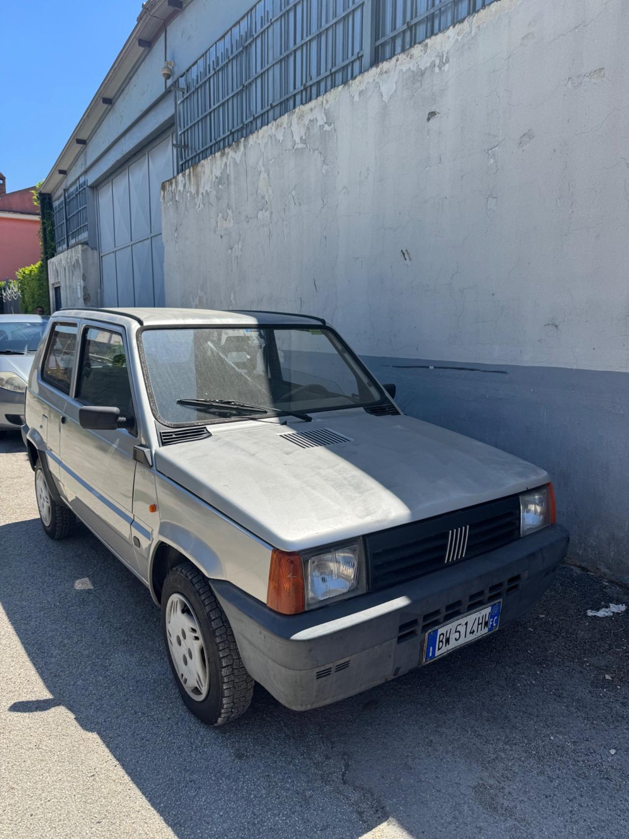 Fiat Panda 1100 i.e. cat Young