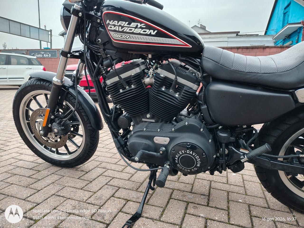 Harley-davidson 883 Sportster R PERMUTA