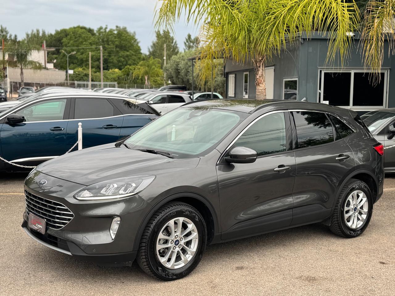 Ford Kuga 1.5 EcoBlue 120CV aut. 2WD Titanium 2022