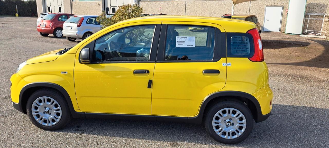 Fiat Panda 1.0 FireFly S&S Hybrid