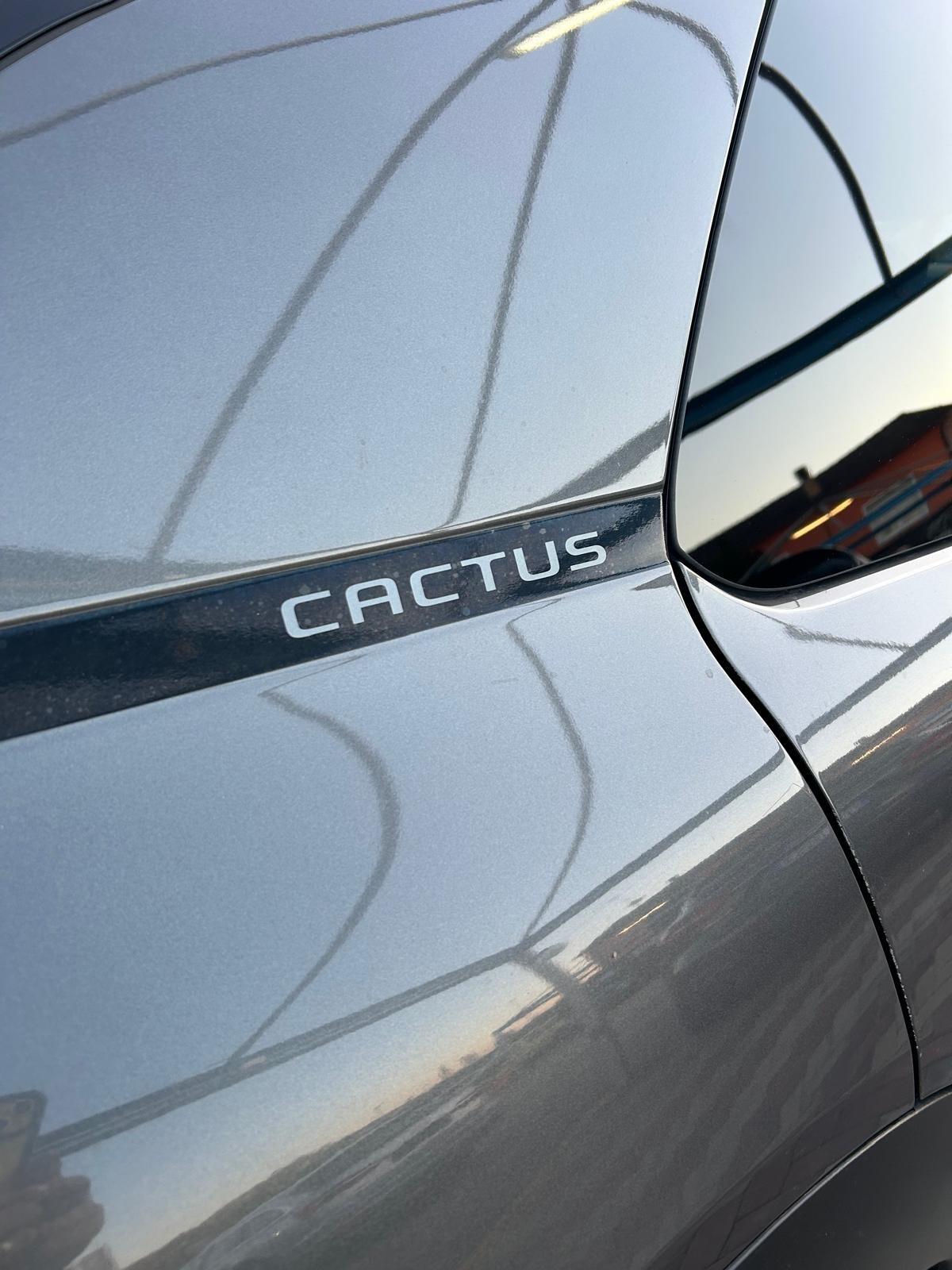 Citroen C4 Cactus PureTech 110 S&S Origins