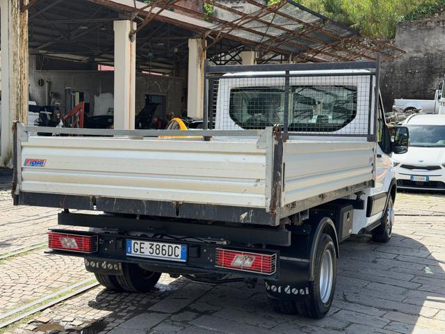 FORD Transit 350 2.0 EcoB.130CV RWD PL-RG Cas.Rib.Tril.Trend