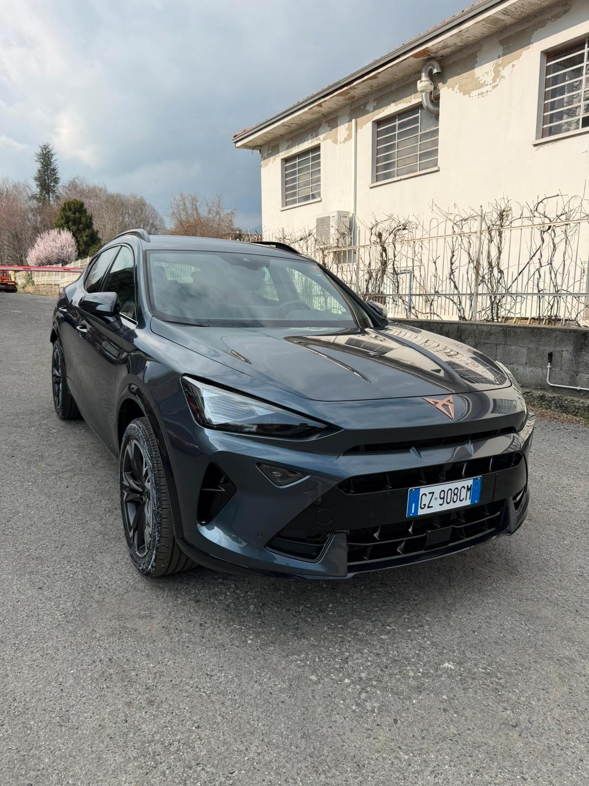 Cupra Formentor 2.0 TDI DSG
