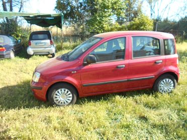 Fiat Panda 1.2 Dynamic EURO 5 NEOPATENTATI