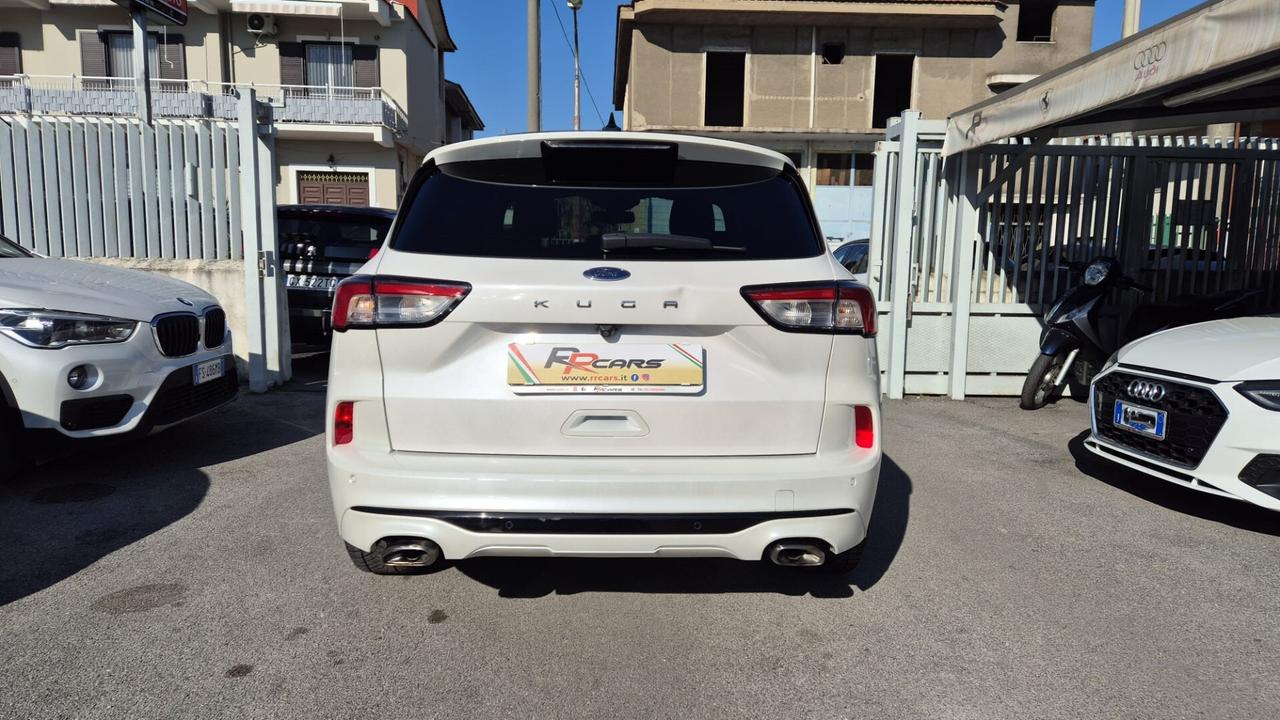 Ford Kuga 1.5 EcoBlue 120 CV aut. 2WD ST-Line X