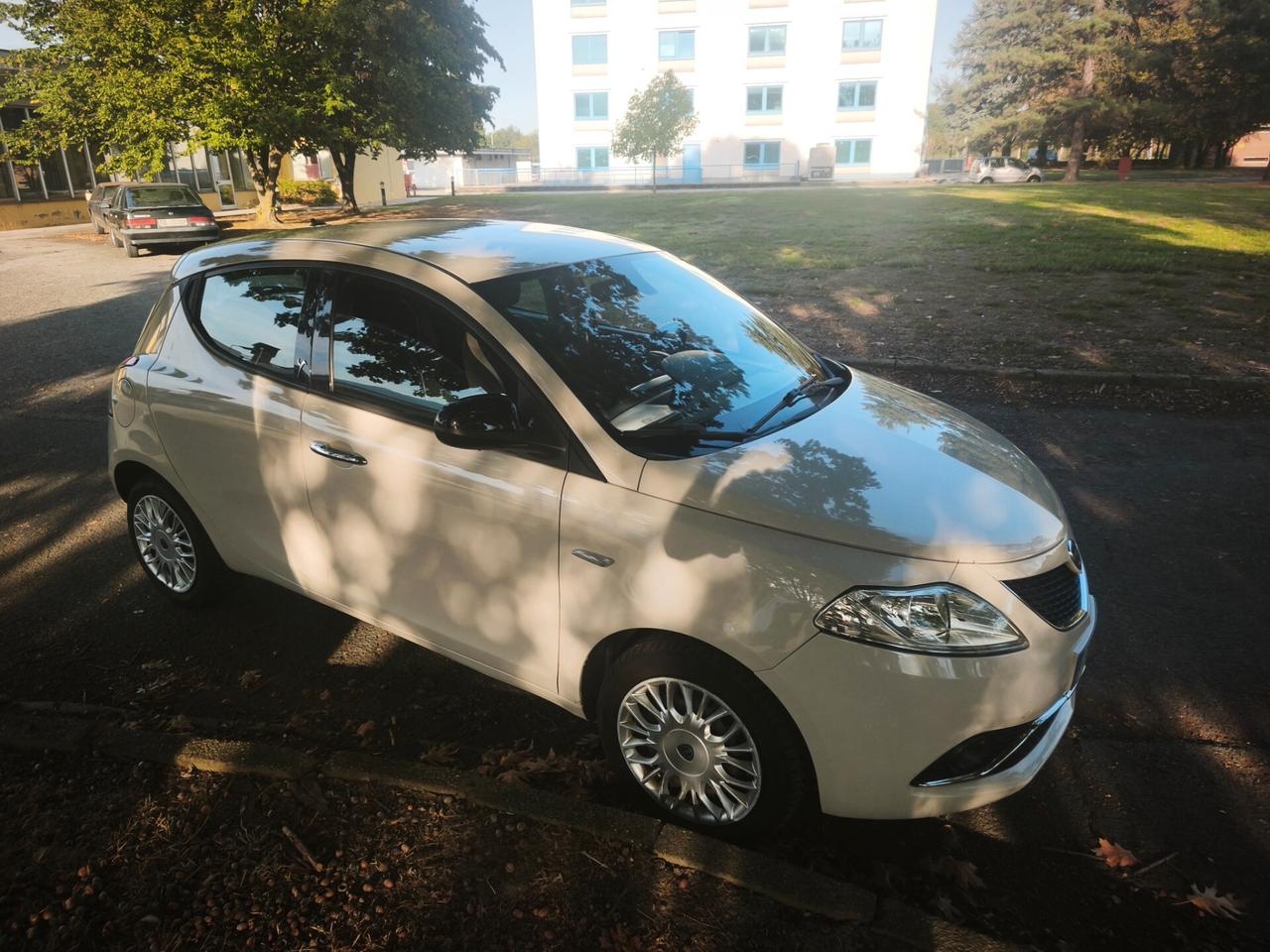 Lancia Ypsilon 1.2 69 CV 5 porte Platinum