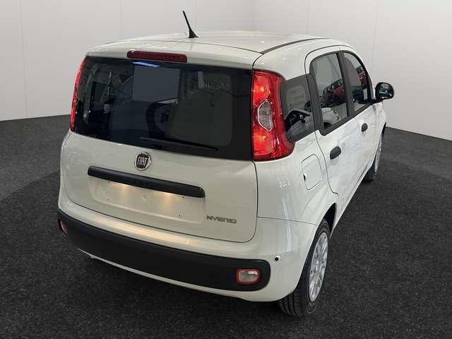 Fiat Panda Panda 1.0 hybrid Easy *KM0*