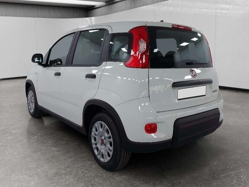 FIAT Panda 1.0 firefly hybrid s&s 70cv 5p.ti