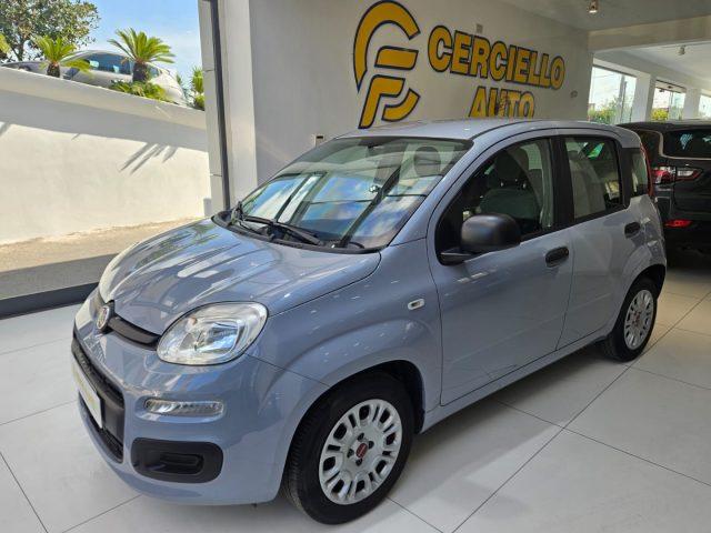 FIAT Panda 1.0 FireFly S&S Hybrid da ?119,00 mensili