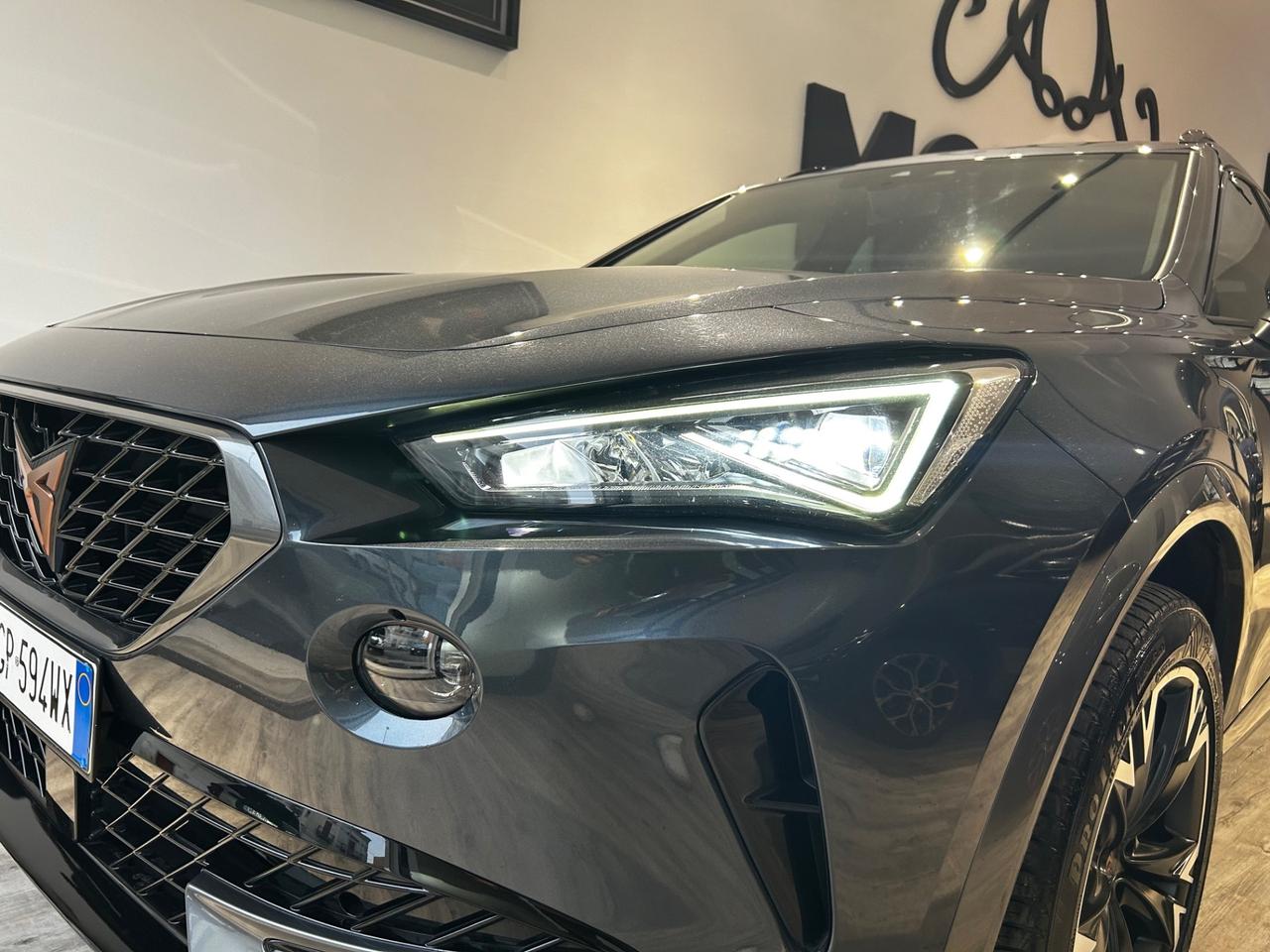 Cupra Formentor 2.0 TDI 4Drive DSG