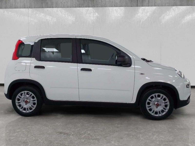 FIAT Panda 1.0 firefly hybrid s&s 70cv 5p.ti