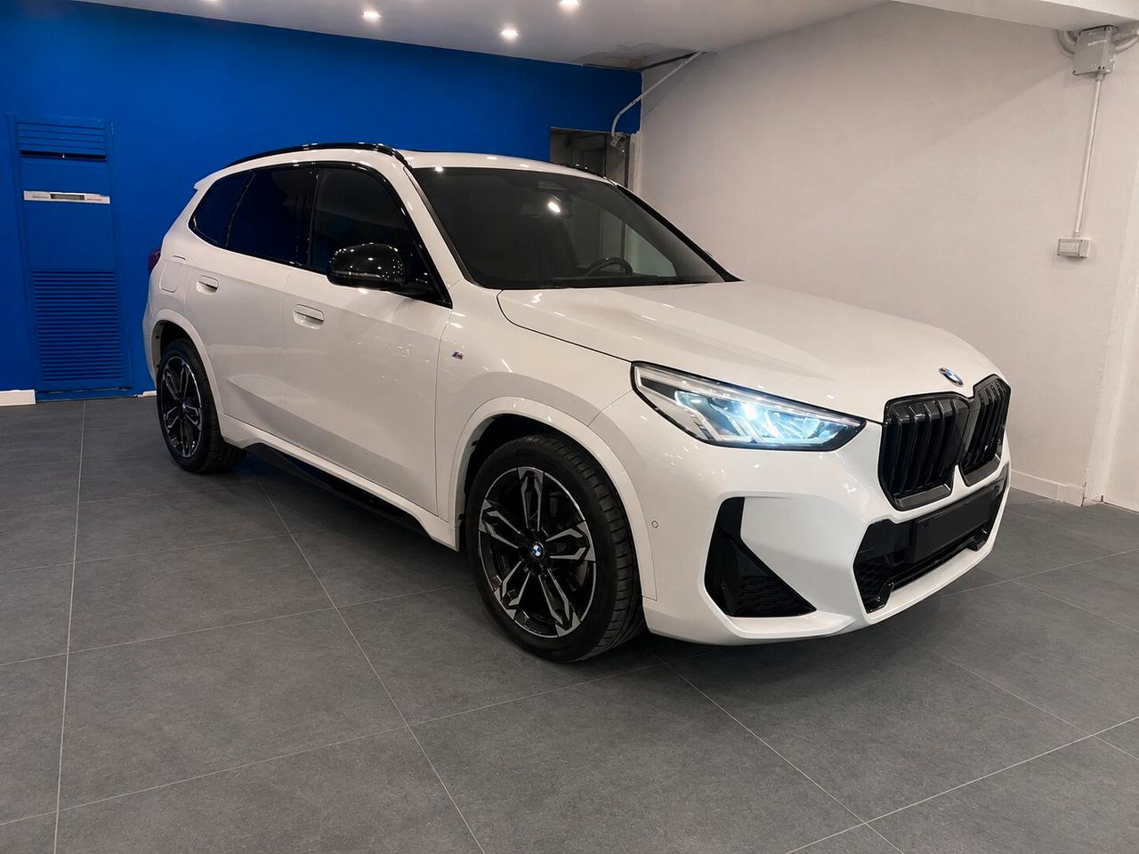 Bmw X1 sDrive 18d Msport Pro
