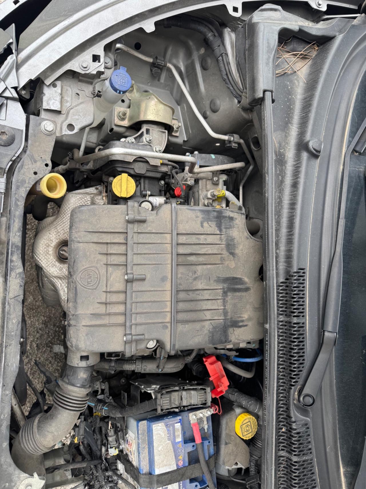Lancia Ypsilon 1.2 69 CV 5 porte Platinum