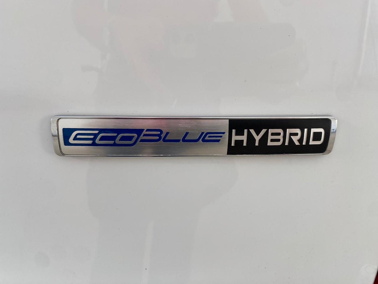 Ford Transit 290 2.0TDCi EcoBlue MHEV 130CV PM-TM Furgone Trend