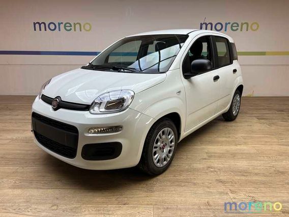 FIAT - Panda - 1.0 firefly hybrid s&s 70 CV