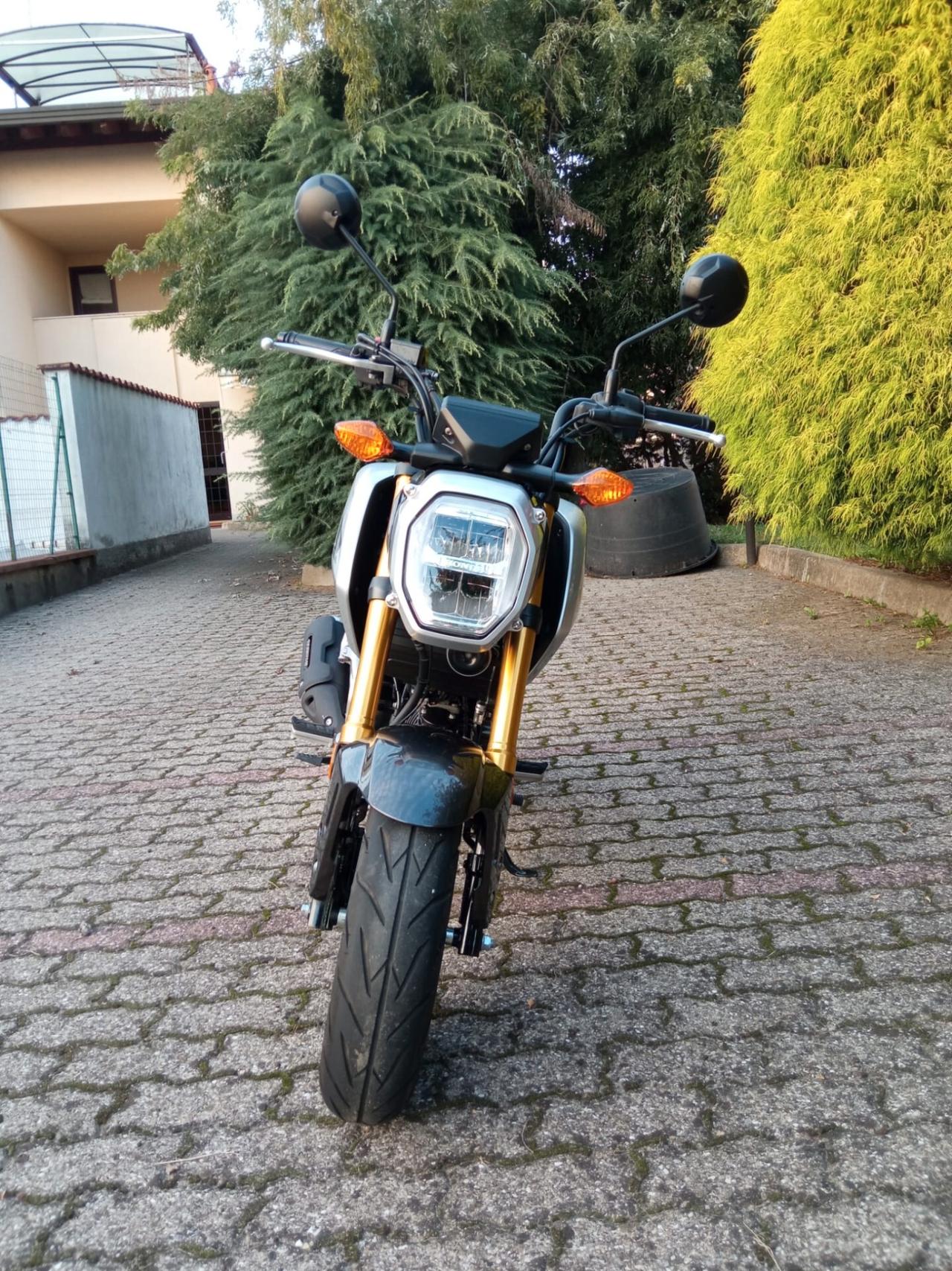 Honda MSX 125 GROM