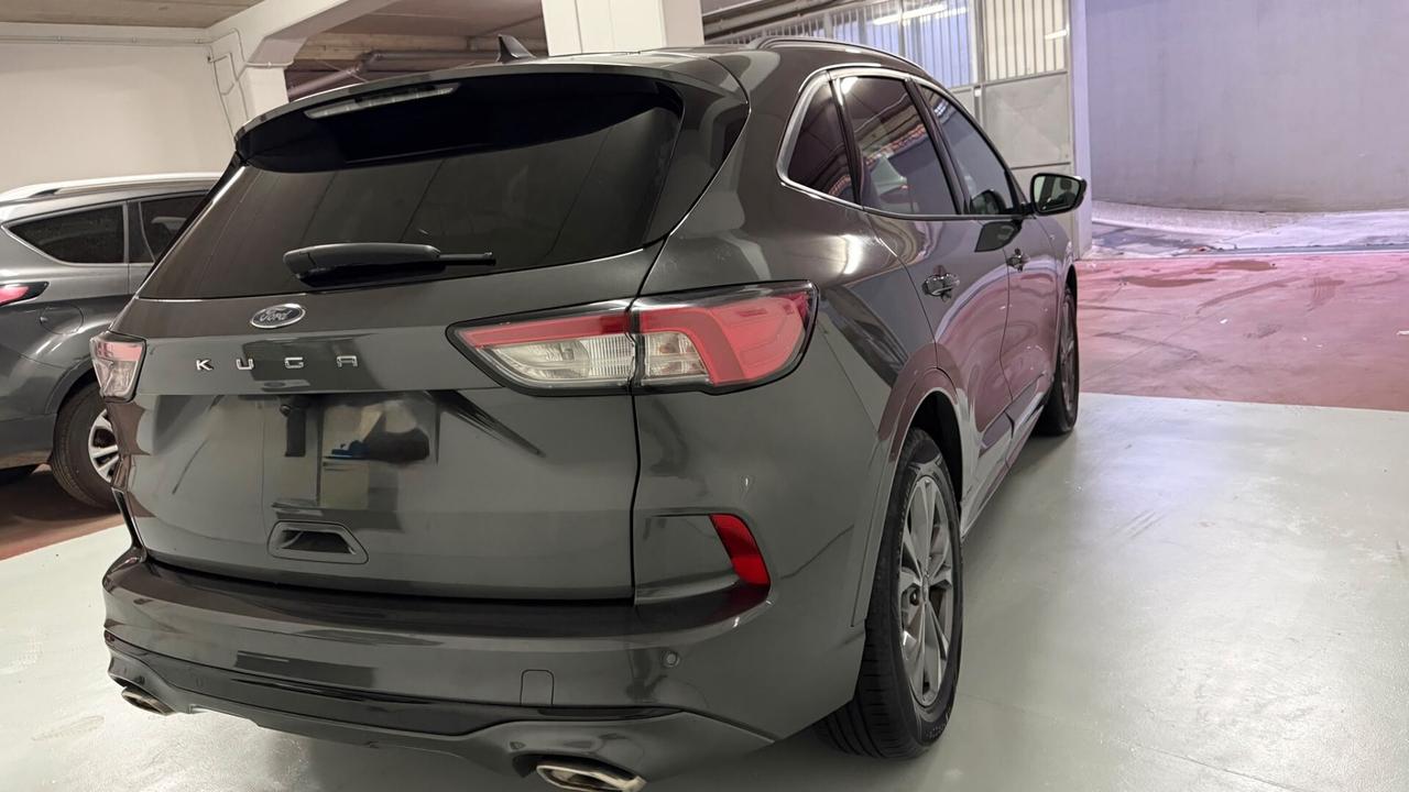 Ford Kuga 1.5 EcoBlue 120 CV 2WD ST-Line x