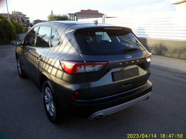 FORD Kuga 1.5 EcoBlue 120 CV aut. 2WD Titanium Business
