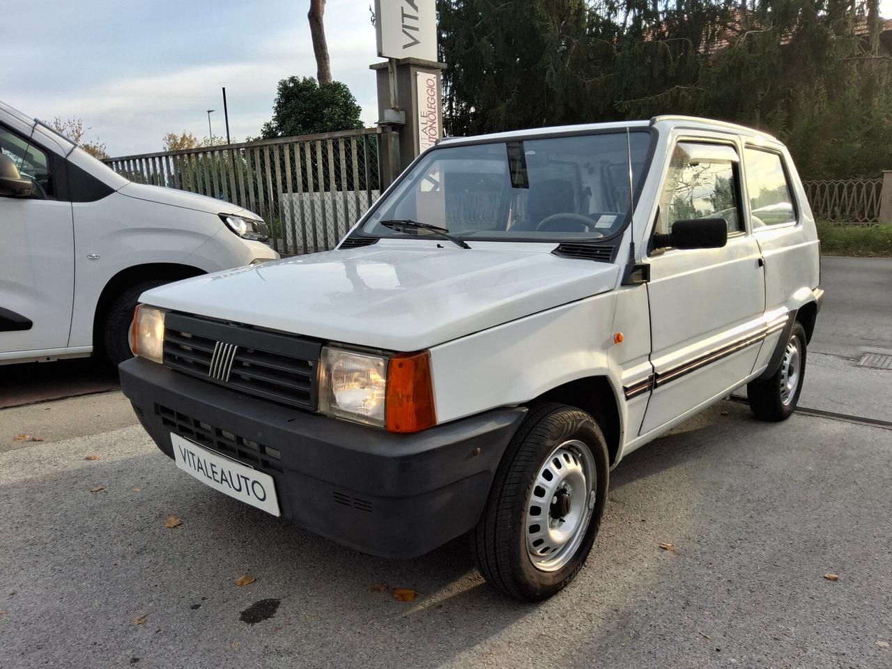 Fiat Panda 900 i.e. cat Young