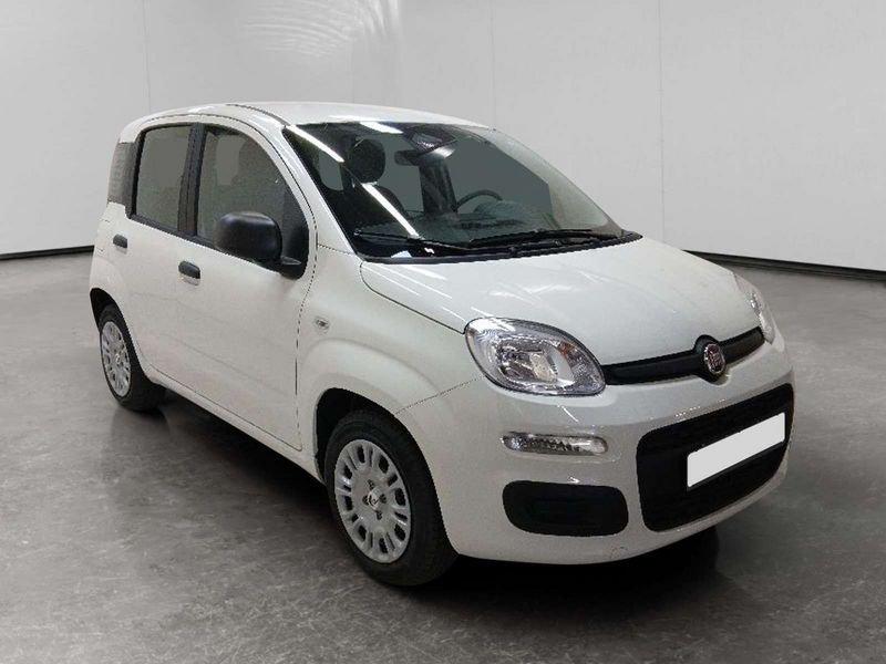 FIAT Pandina 1.0 firefly hybrid Icon s&s 70cv 5p.ti