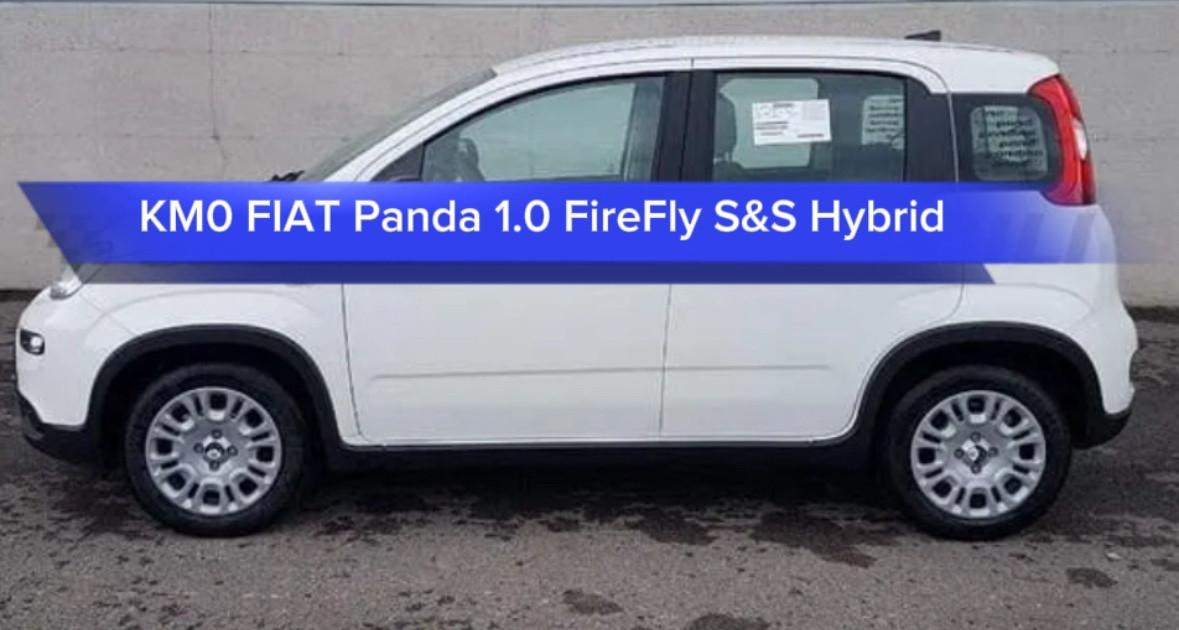 Fiat Panda 1.0 FireFly S&S Hybrid