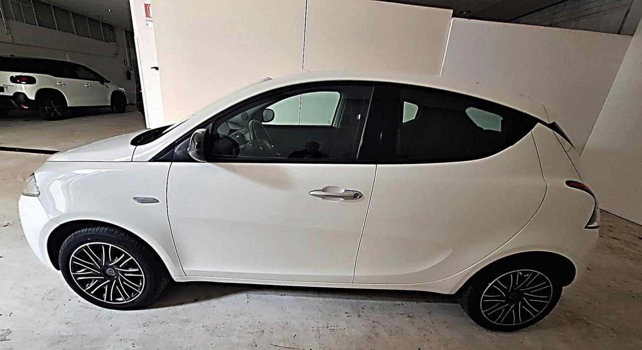 Lancia Ypsilon Gold Firefly 1.0 Hybrid 70 Cv. - 1004