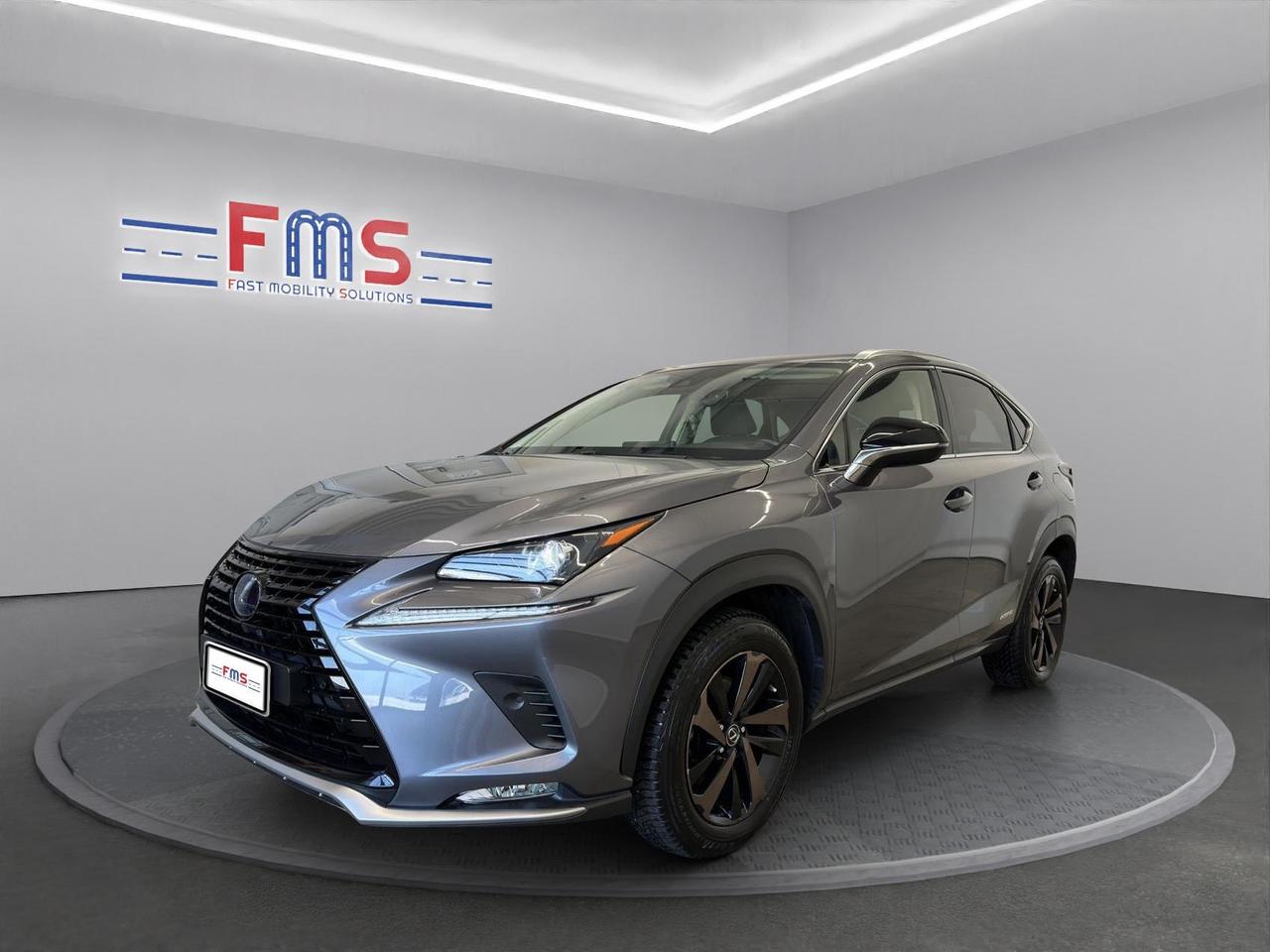 Lexus NX 300h 2.5 Premium 4wd cvt
