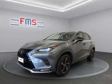 Lexus NX 300h 2.5 Premium 4wd cvt