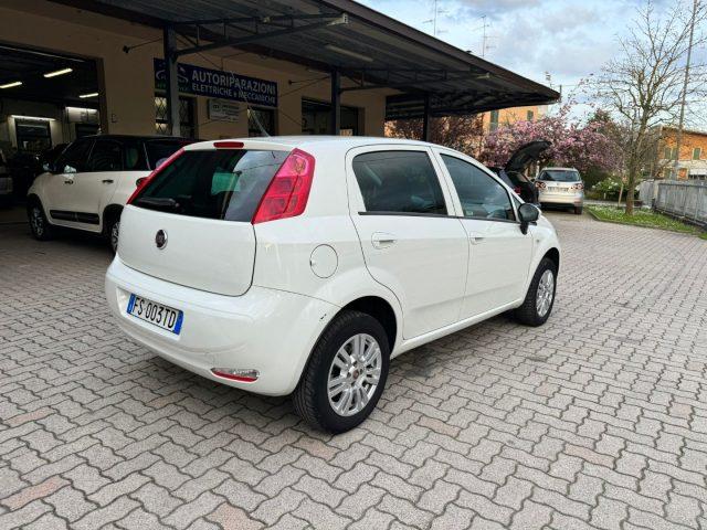 FIAT Punto 1.4 8V 5 porte Natural Power Street