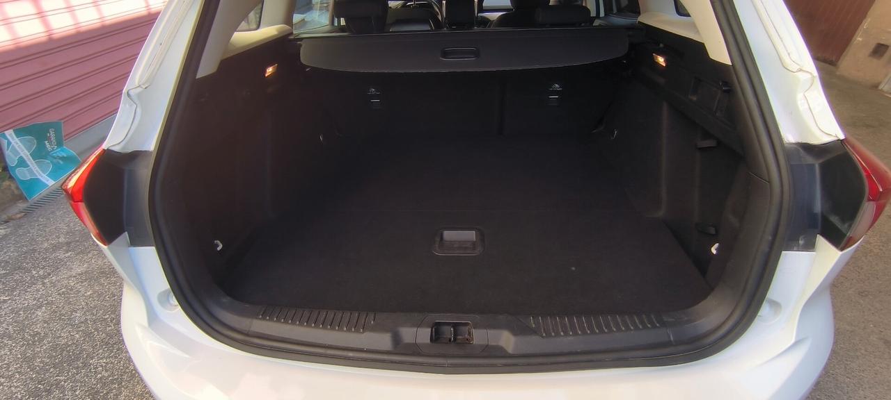 Ford Focus 1.5 EcoBlue 120 CV automatico SW Business Co-Pilot