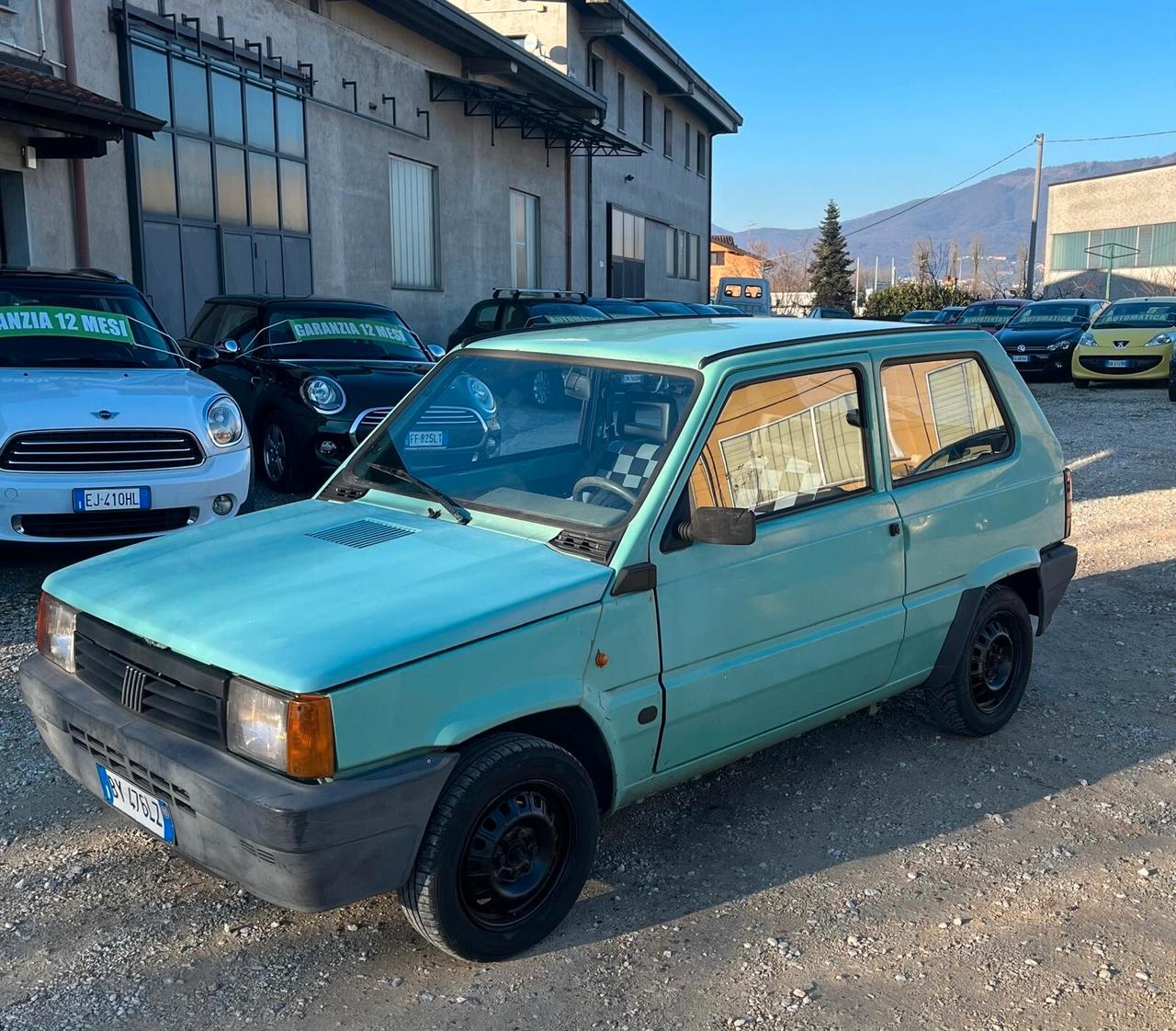 Fiat Panda 1100 i.e. cat Young