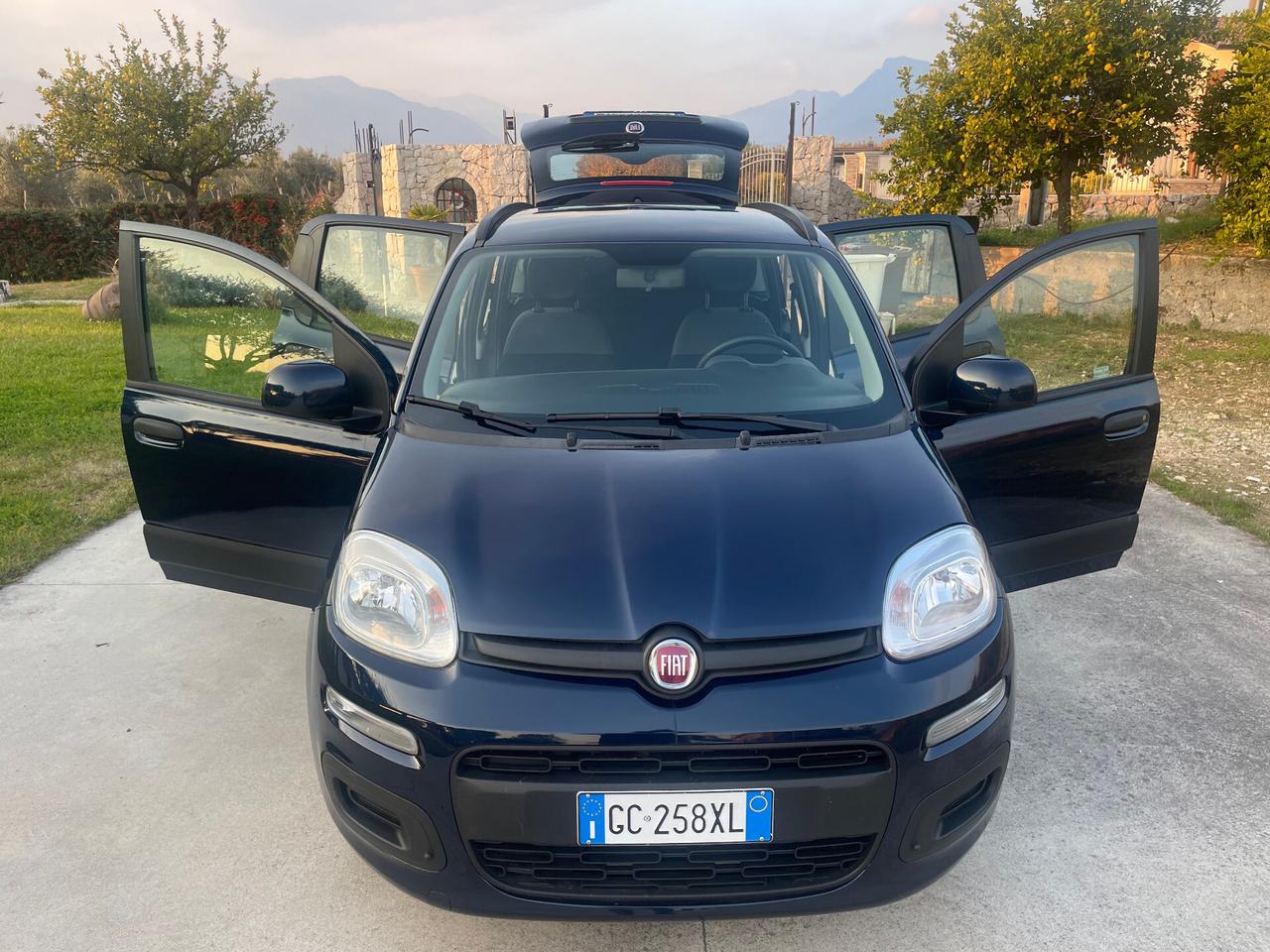 Fiat Panda 1.2 BENZINA LOUNGE 12 MESI DI GARANZIA