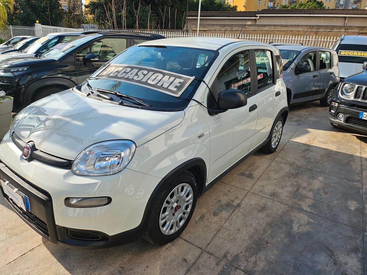 Fiat Panda 1.0 FireFly S&S Hybrid