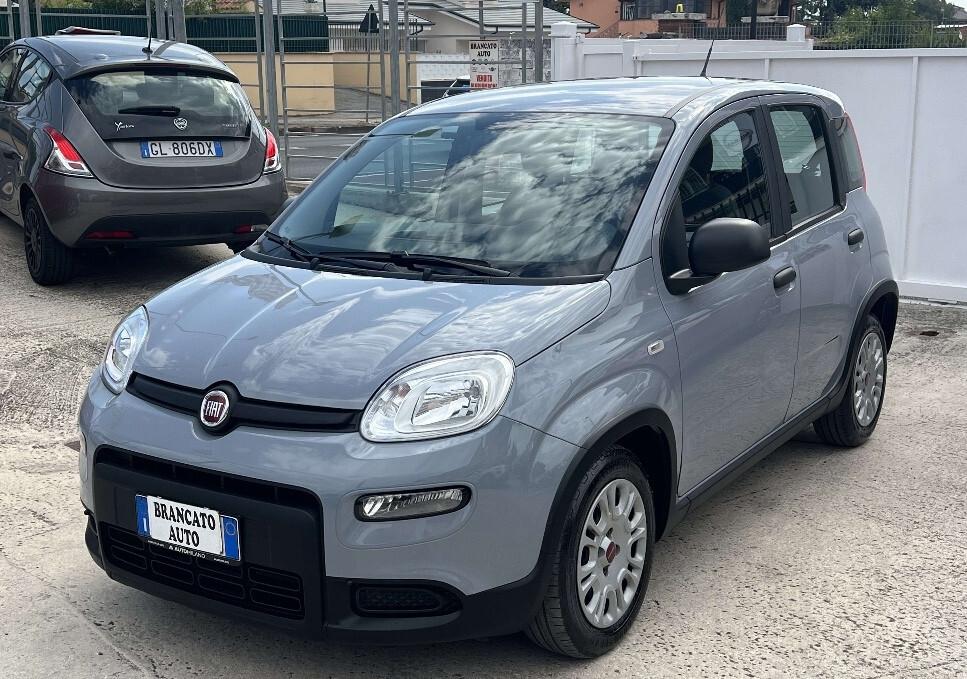 Fiat Panda 1.0 FireFly S&S Hybrid City Cross