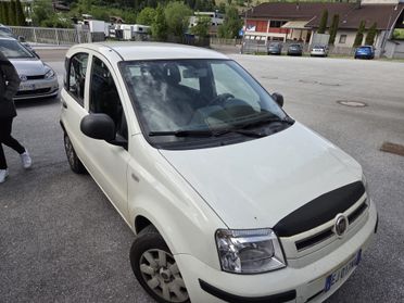Fiat Panda 1.2 Dynamic AUTOCARRO SI NEOPATENTATI