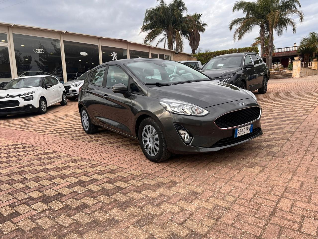 Ford Fiesta 1.1 75 CV GPL 5 porte Business