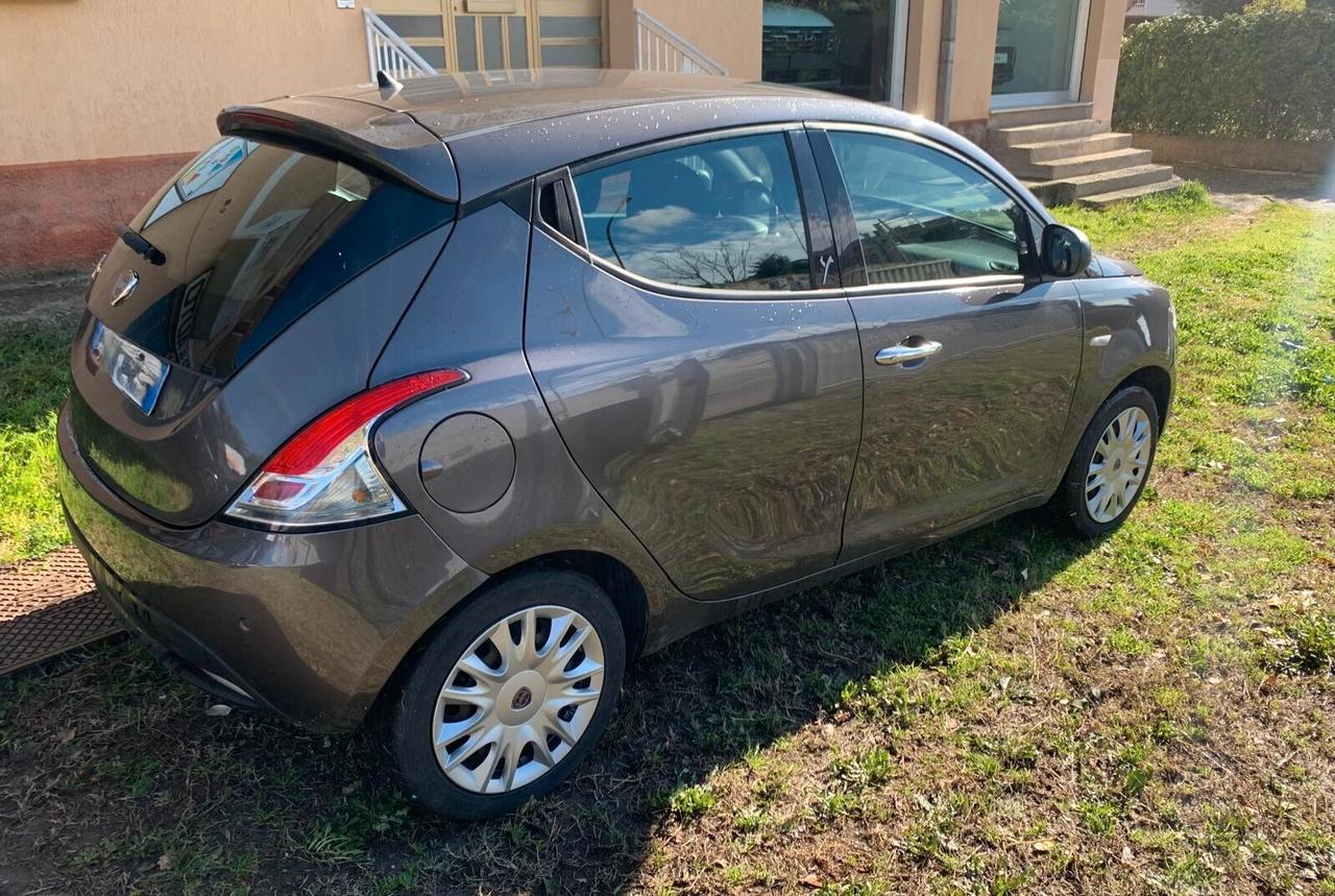 Lancia Ypsilon 1.3 MJT 16V 95 CV 5 porte S&S Gold