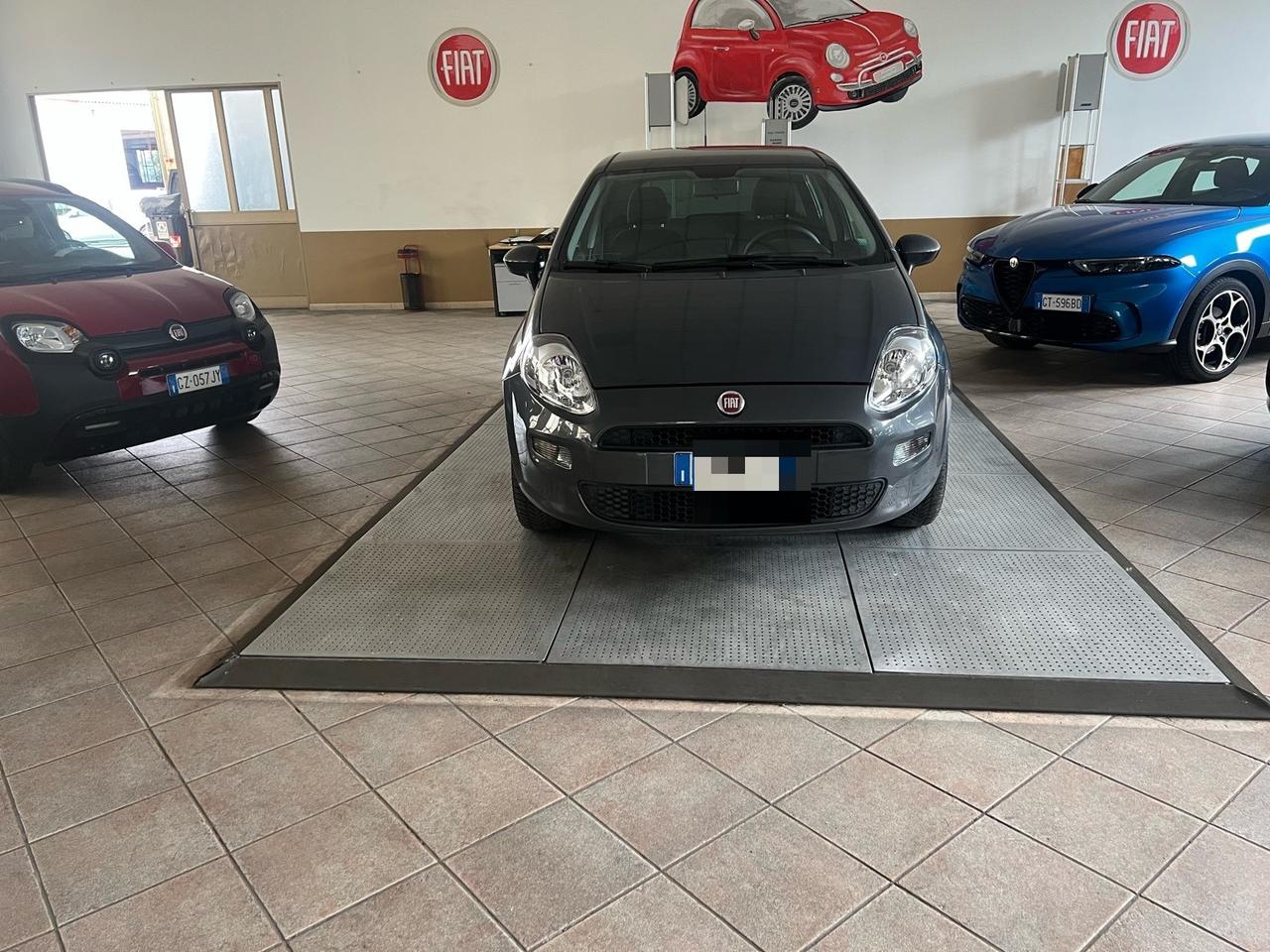 Fiat Punto 1.4 8V 5 porte Natural Power Street