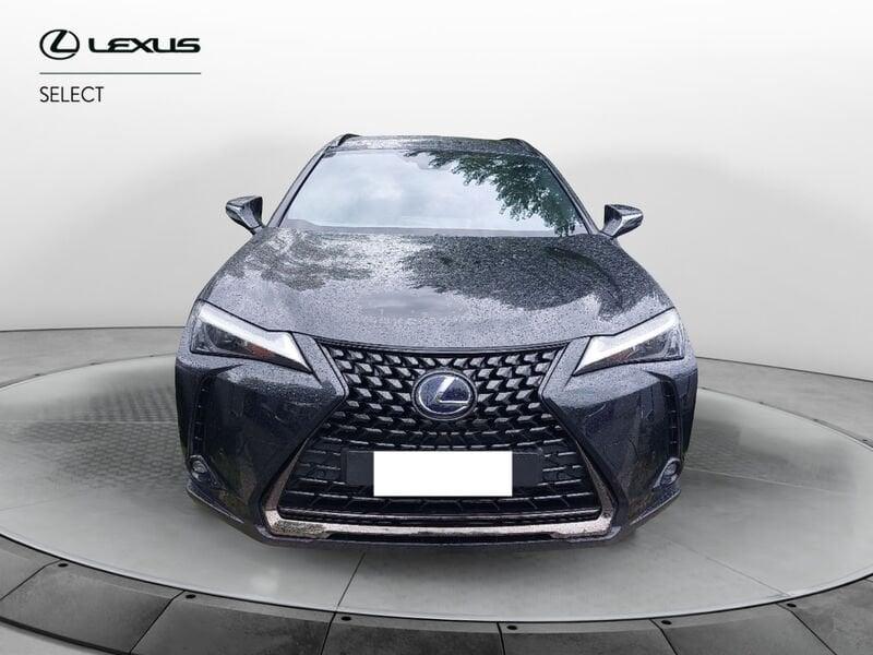 Lexus UX Hybrid 4WD Business