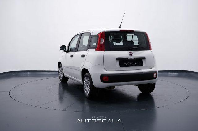 FIAT New Panda 1.2 Easy 4 posti N1 Autocarro della casa