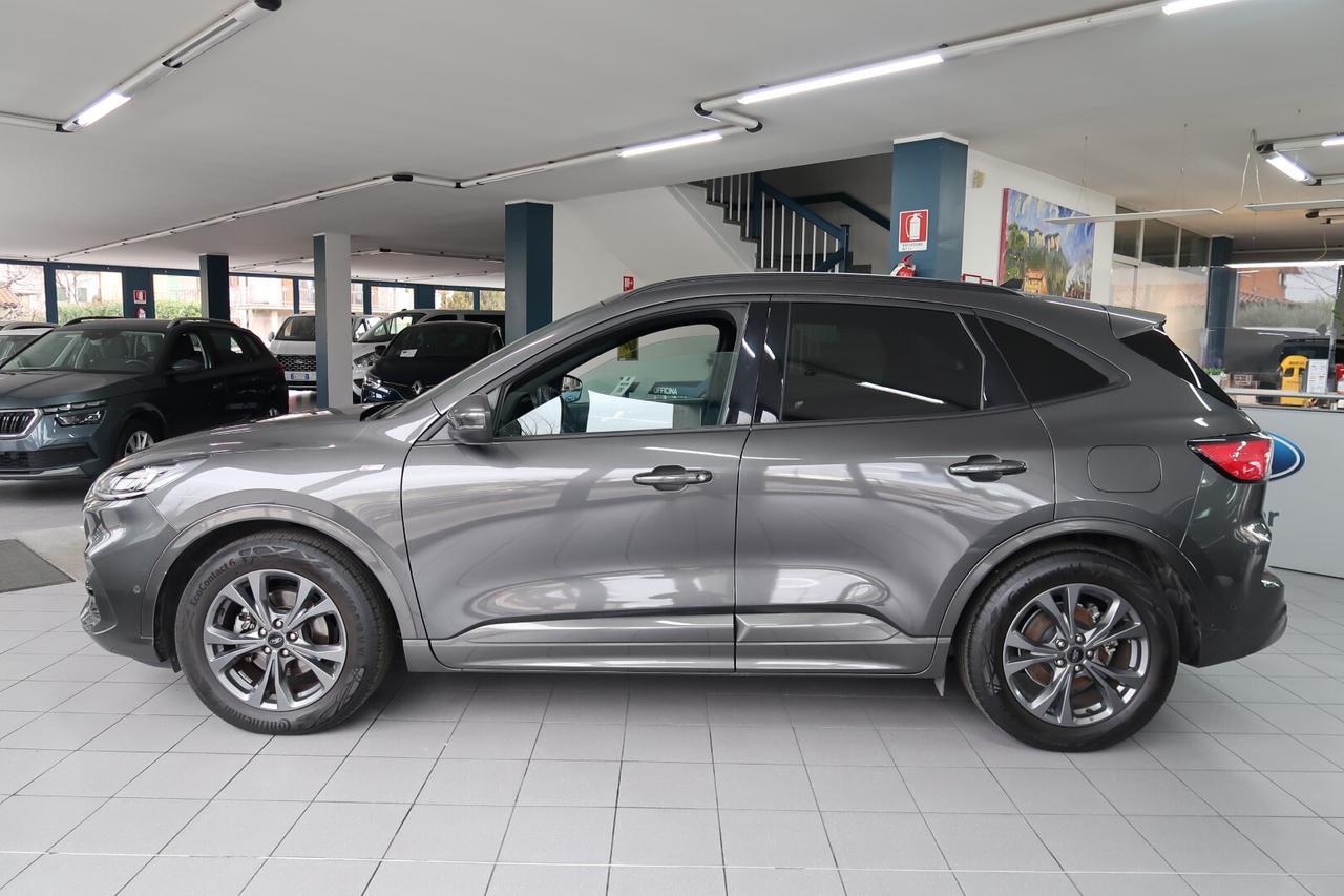 Ford Kuga 2.0 EcoBlue 120 CV aut. ST-Line